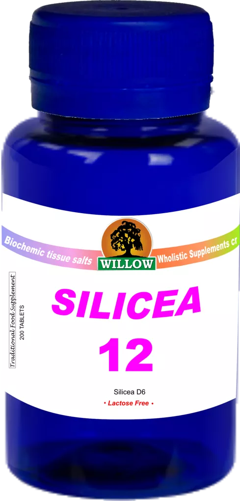 Silicea #12