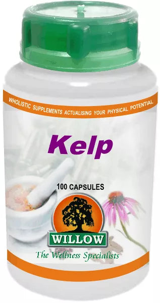 Kelp