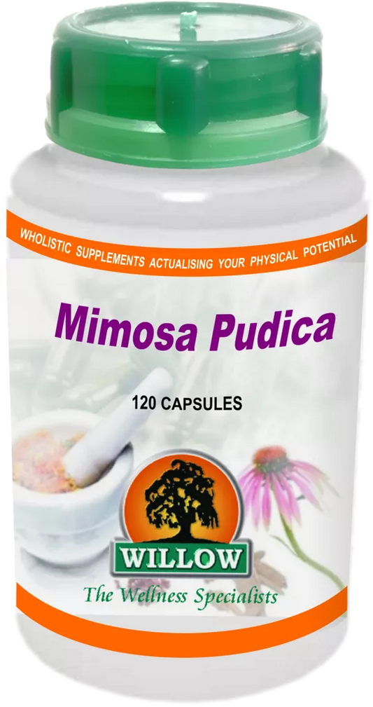 Mimosa Pudica