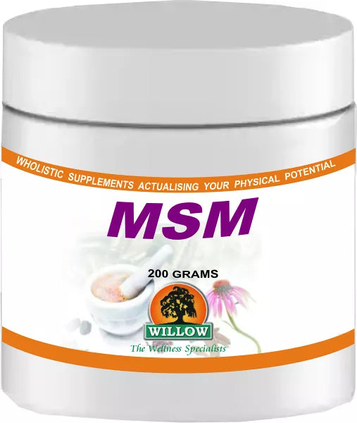 MSM Powder